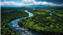 Вода в Амазонці опустилася до найнижчого рівня за 120 років. Читайте на  UKR.NET